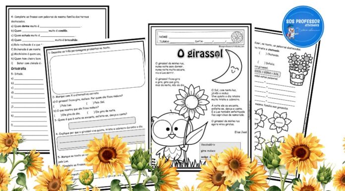 Atividade diagnóstica – O Girassol Atividade diagnóstica - O Girassol