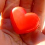 AMOR-1