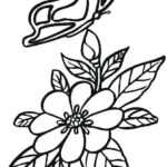 dibujo-flor-mariposa
