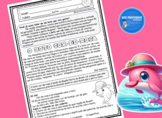 O boto cor-de-rosa O boto cor-de-rosa