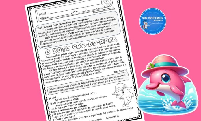 O boto cor-de-rosa