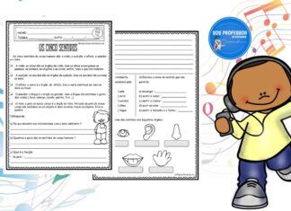 Os cinco sentidos 2 Os cinco sentidos 2