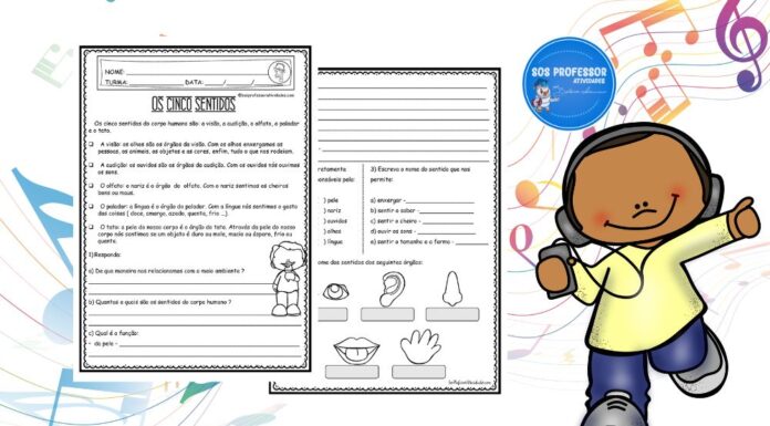 Os cinco sentidos 2 Os cinco sentidos 2