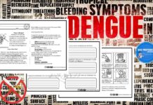 O que é a Dengue? O que é a Dengue?