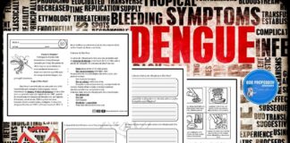 O que é a Dengue? O que é a Dengue?