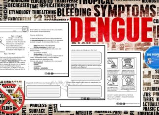 O que é a Dengue? O que é a Dengue?