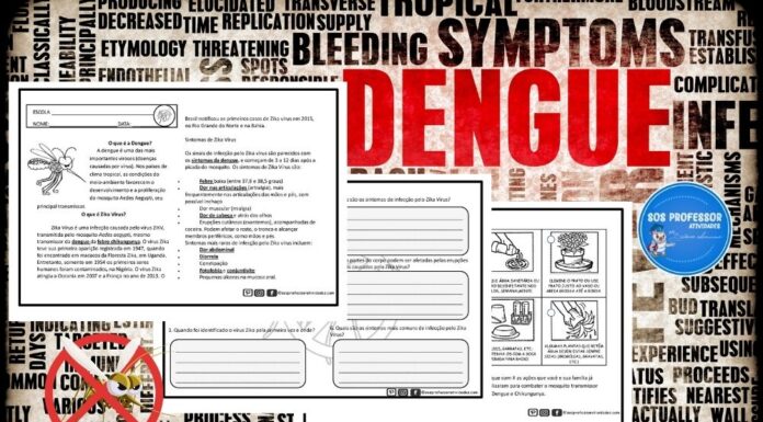 O que é a Dengue? O que é a Dengue?