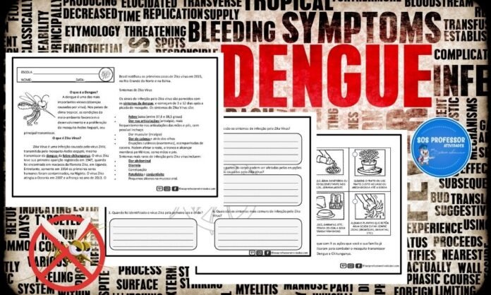 O que é a Dengue?