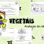 vegetais