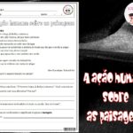 A ação humana sobre as paisagens