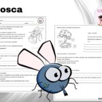 A mosca