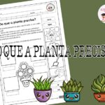 Do que a planta precisa