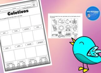 Coletivos 2 coletivos 2