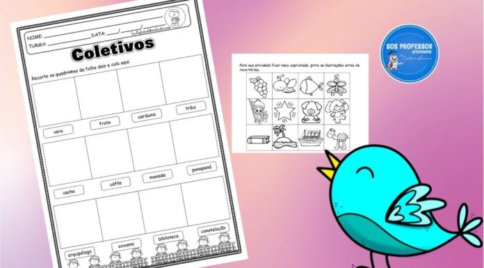 Coletivos 2 coletivos 2