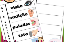sentidos