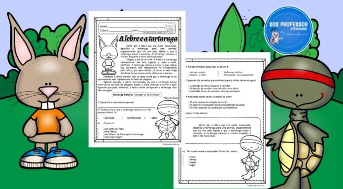 A lebre e a tartaruga a lebre e a tartaruga