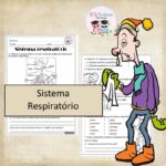 sistema respiratório