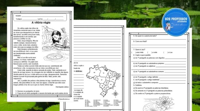 A vitória-régia a vitória-régia