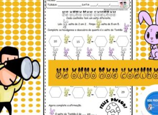 De olho nos coelhos – Contagem contagem