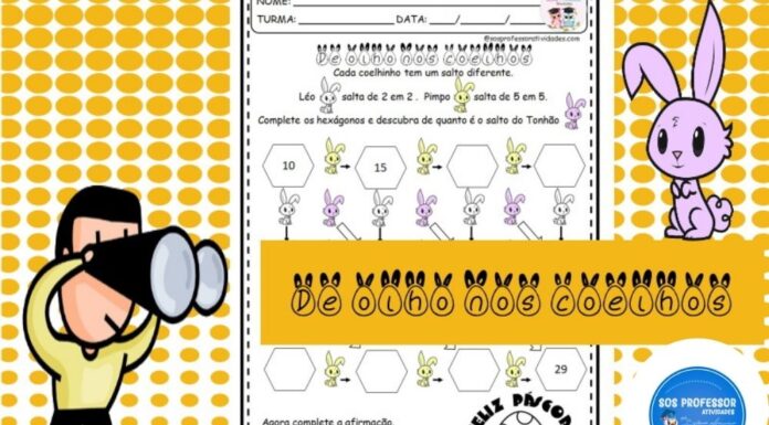 De olho nos coelhos – Contagem contagem