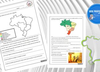 Regiões do Brasil Regiões do Brasil