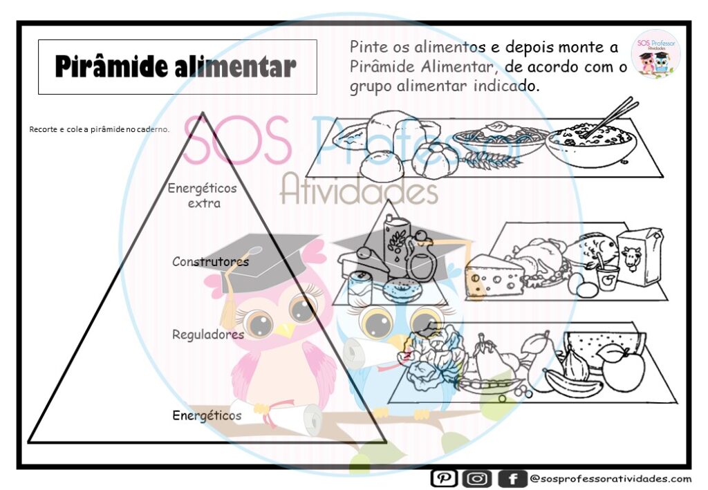Pirâmide Alimentar - SOS Professor Atividades - 5º ano