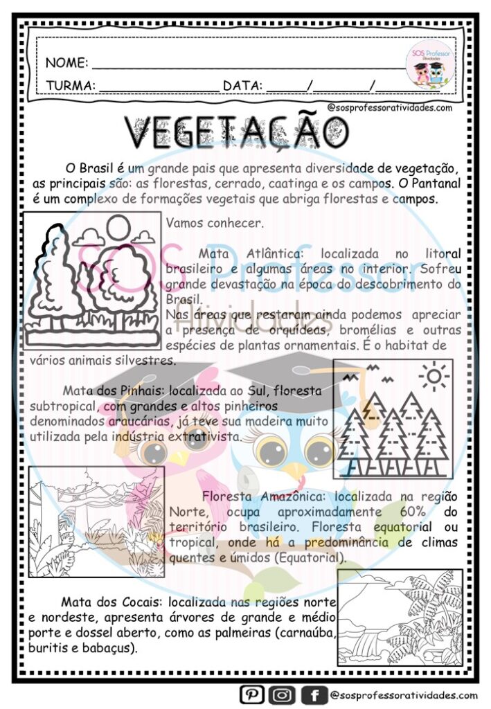 Vegetação Brasil - SOS Professor Atividades - Ecologia
