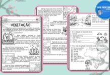 Vegetação Brasil Vegetação