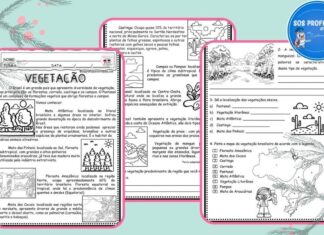 Vegetação Brasil Vegetação