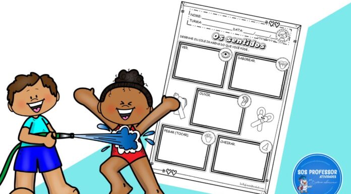 Os sentidos – Recorte e cole Sentidos