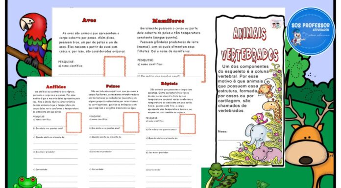 Folder: Animais vertebrados