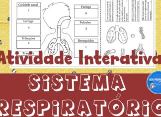 Sistema respiratório atividade interativa sistema respiratório2