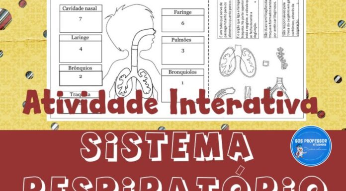 Sistema respiratório atividade interativa sistema respiratório2