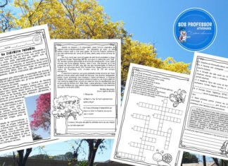 Dia da Árvore – Ipês do DF Dia da árvore - Ipês do DF