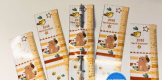 Volta às Aulas 2026: Porta-Lápis de Capivara para Acolher os Alunos no Primeiro Dia