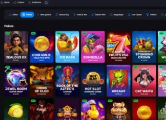 The Double-Edged Sword of Realz Casino: Where Thrills Meet Financial Risks